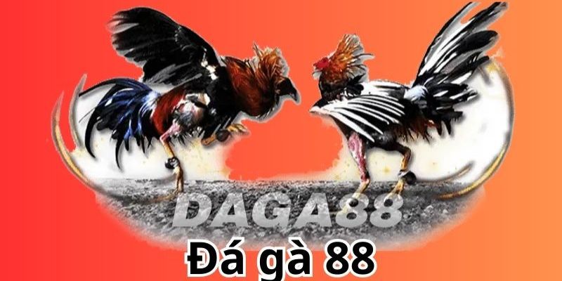 Gà tre - Đặc sản nổi bật nhất sân chơi đá gà 88