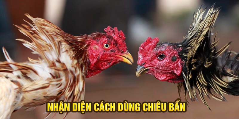 Nhận diện cách dùng chiêu bẩn